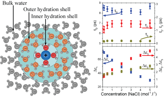 Hydration-shell-IONS