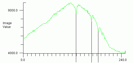 Spectrum of Regulus