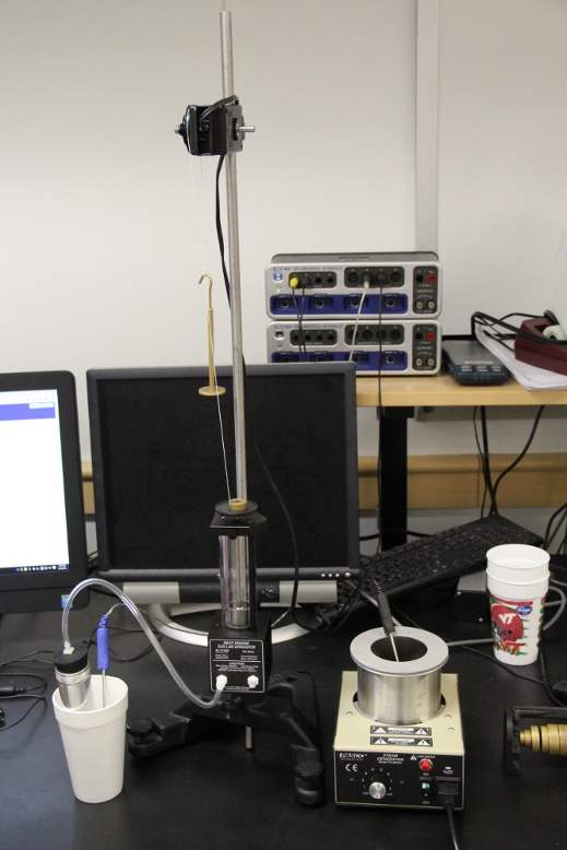 An image of the Gas Law Apparatus set up